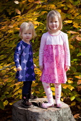 IMG 1236-Edit-Edit